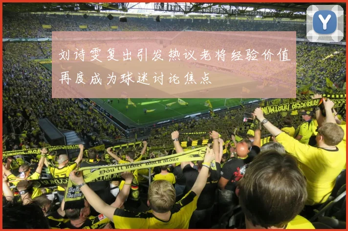 刘诗雯复出引发热议老将经验价值再度成为球迷讨论焦点
